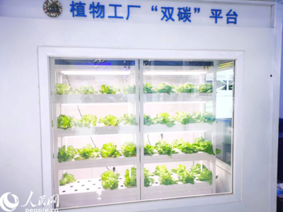 數字內容制作服務 創新驅動與價值實現